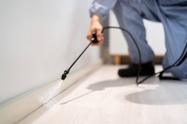 Licensed Cockroach Control service in Charlottesville, VA - Nex Pest Control