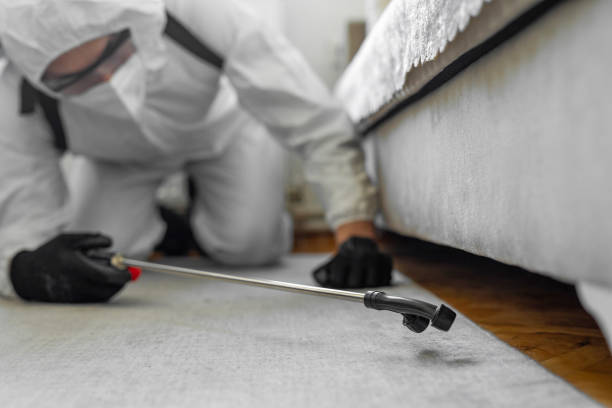 Professional Cockroach Control technician working in Charlottesville, VA