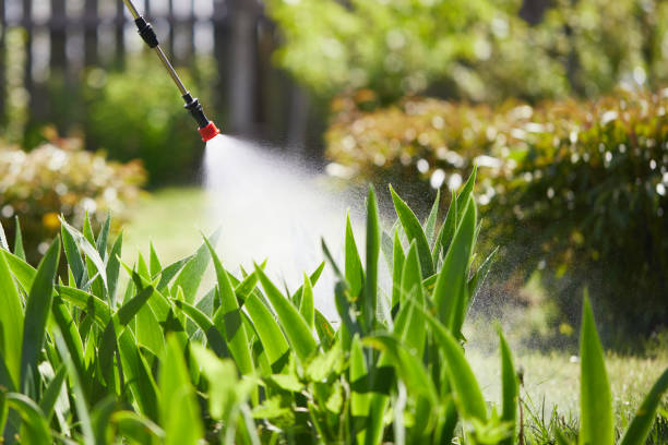 24/7 Emergency Cockroach Control experts in Charlottesville, VA
