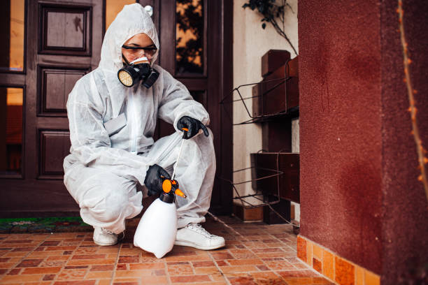 Reliable Cockroach Control contractor in Charlottesville, VA by Nex Pest Control