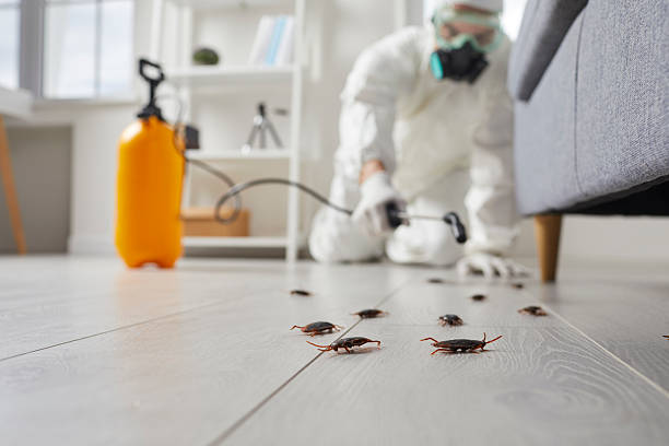 Affordable Cockroach Control solutions in Charlottesville, VA