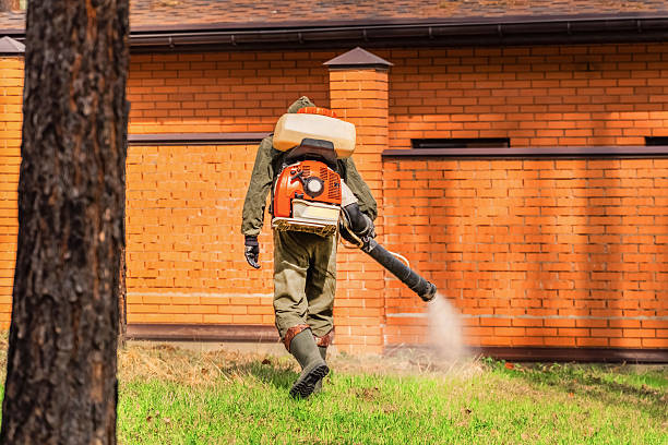 Top rated local Cockroach Control specialists in Charlottesville, VA